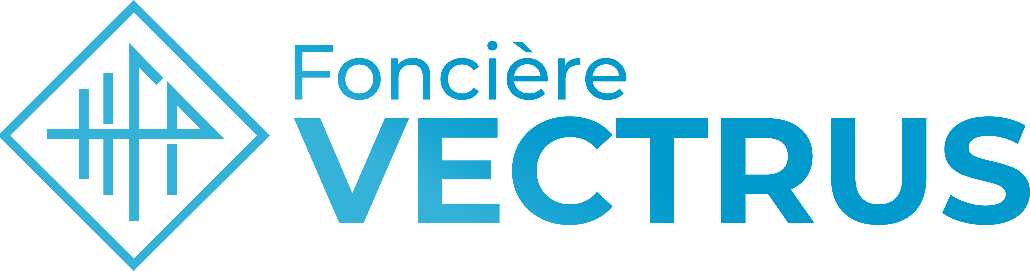 Foncière Vectrus